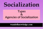 Types and Agencies of Socialization- Wandofknowledge