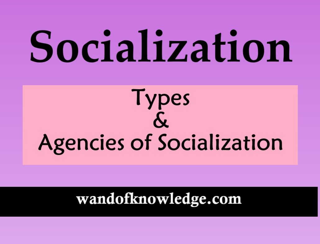 what are the agents of socialization