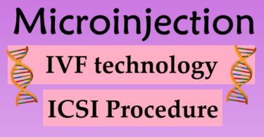 dna microinjection