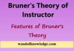 Bruner's Theory of Instructor