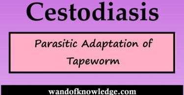 Cestodiasis| Parasitic Adaptation of Tapeworm| Wandofknowledge