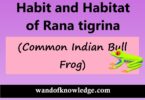 Habit and Habitat of Rana tigrina