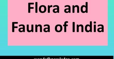 Flora and Fauna of India | Vegetation of India- Types