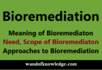 Bioremediation: Meaning | Need | Merits | Scope & Approaches