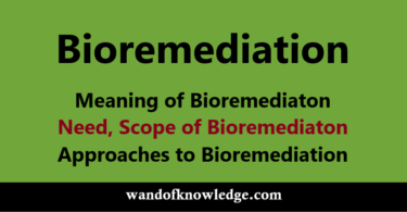 Bioremediation: Meaning | Need | Merits | Scope & Approaches