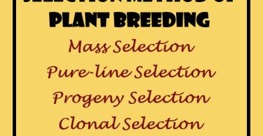 Selection Method of Plant Breeding
