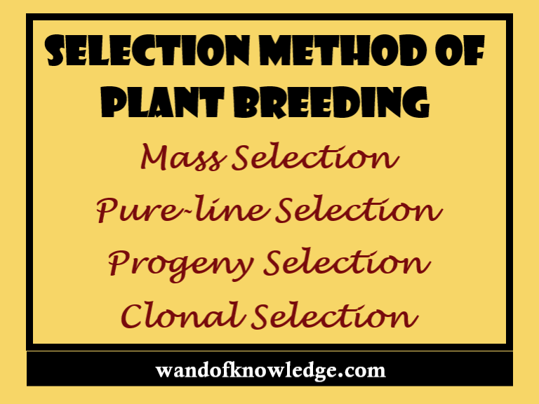 Selection Method of Plant Breeding